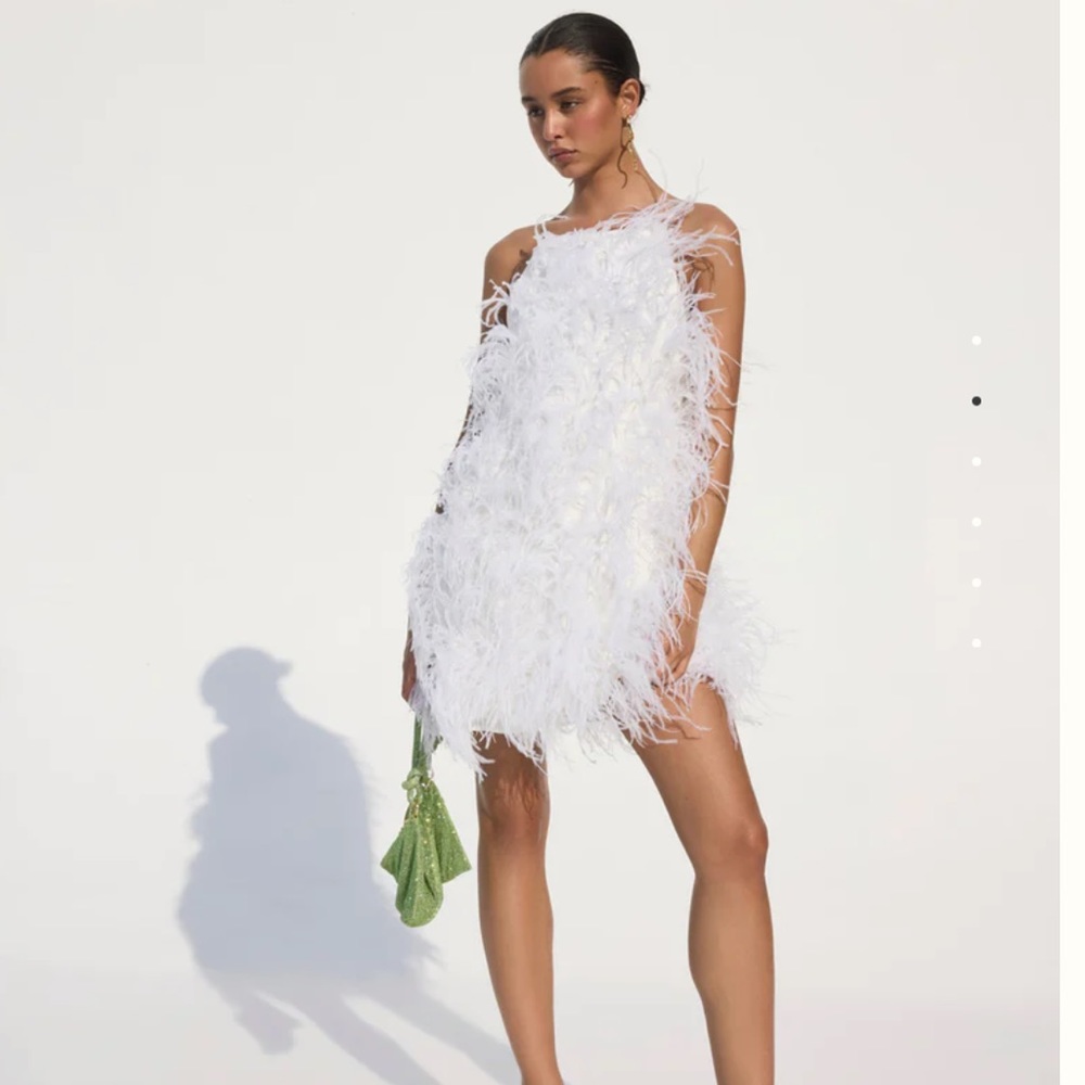 Cult Gaia Shannon dress